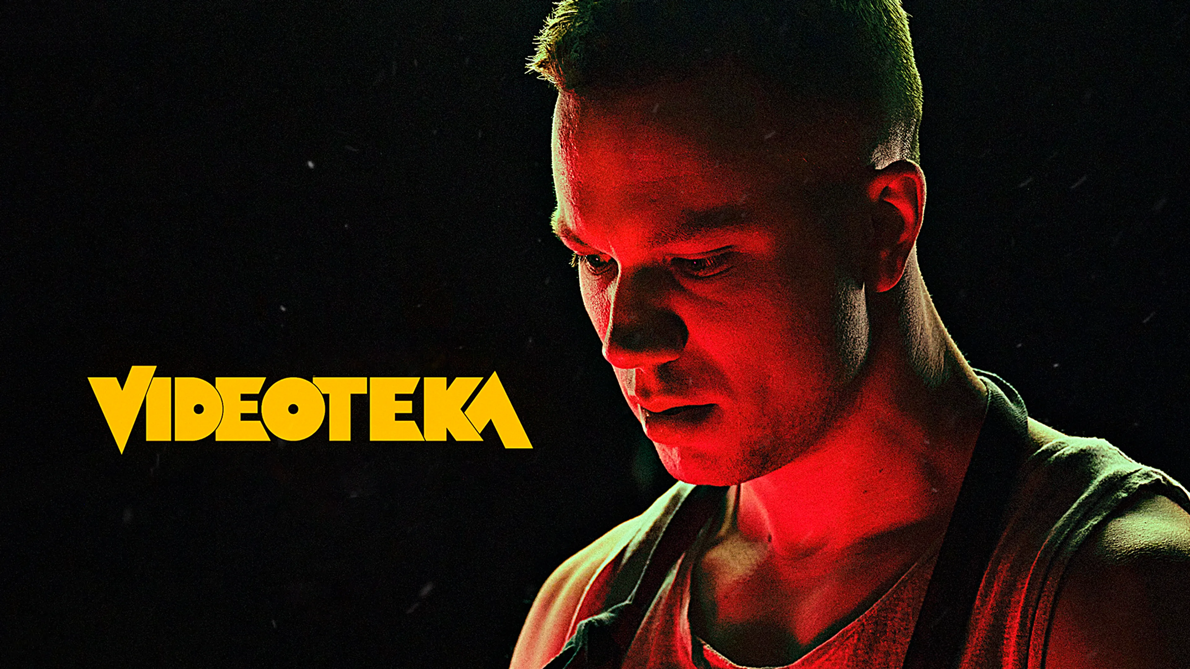 Videoteka poster